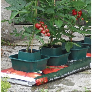 Tomato and Vegetable Growbag Pots - Green / 6 by Selections
