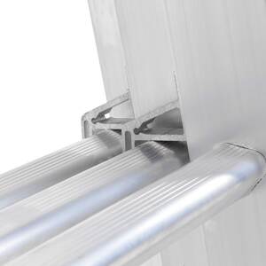 Professional Extension Ladder by TB Davies