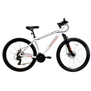 Basis El Toro HT Mountain Bike 27.5