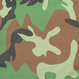 Outsunny 2 Person Camping Tent by Outsunny