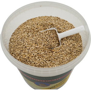 Johnston and Jeff Sunflower Hearts Tub - Natural by Johnston and Jeff