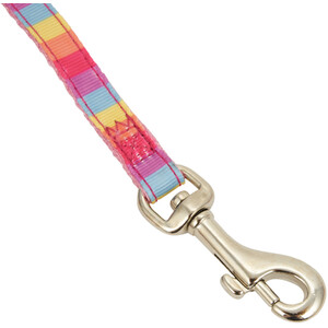 Small Bite Rainbow Collar and Lead Set