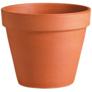 Terracotta Pot