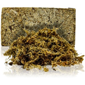 Swell Reptiles Terrarium Moss by Swell Reptiles