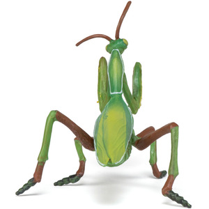 PAPO Wild Animal Kingdom Praying Mantis Toy Figure - Green by PAPO
