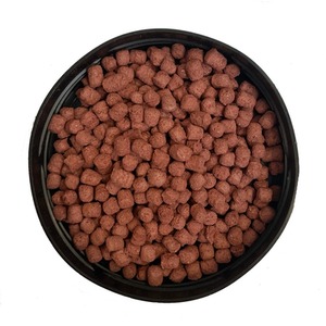 Tortoise Diet Food - Dandelion - Brown / 0.34kg by Komodo