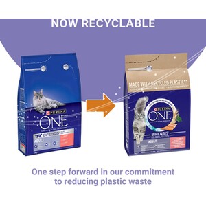 Purina ONE Adult Dry Cat Food - 3kg / Salmon and Whole Grains by Purina ONE