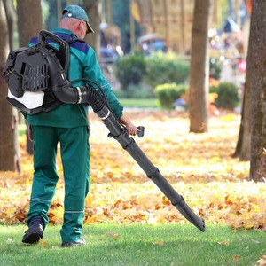 SwitZer Leaf Blower Backpack Petrol 01 Grey - Grey by SwitZer
