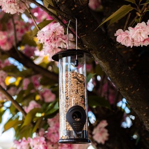Hanging Seed Bird Feeder - Transparent by Garden Mile