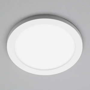 Darly LED 18 Watt Flush Ceiling or Wall Light - White by Litecraft