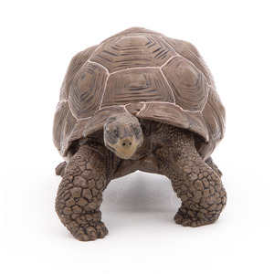 PAPO Wild Animal Kingdom Galapagos Tortoise Toy Figure - Green by PAPO
