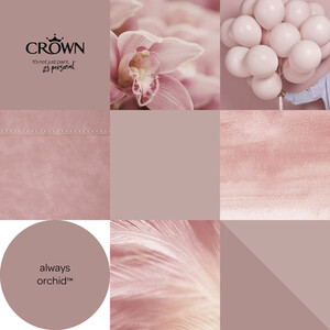 Crown Matt Emulsion by Crown Paints