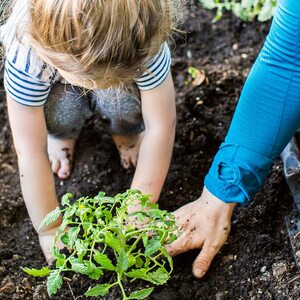 Laeto Your Signature Garden Top Soil - White / 35l by Laeto