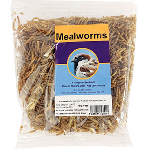 Mealworms for Wild Birds