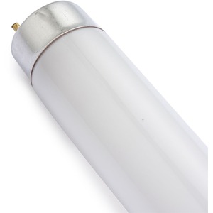 Swell Reptiles Desert 10.0 UVB Lamp - White / SWLR0195 by Swell Reptiles