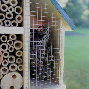Large Wooden Insect House - Brown by Garden Mile