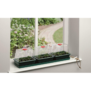 3 Top Windowsill Propagator Non Heated G171 - Green by Garland