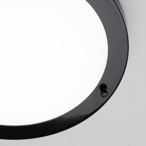 Mari Bathroom 18 Watt Flush Ceiling Light by Litecraft