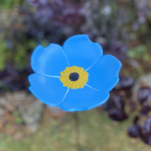 Cast Iron Wild Bird Forget Me Not Flower Dish Bird Feeder - Blue by Selections