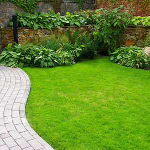 Pump Sprayer with Liquid Iron Sulphate 5L Grass Greener and Turf Hardener - Green / 10l by Pro-Kleen