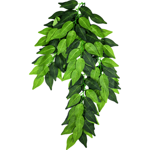 Swell Reptiles Ficus - Green / 50cm by Swell Reptiles