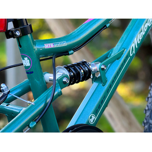 Dallingridge Melody Girls 20In Full Suspension Mountain Bike - Metallic Teal by Dallingridge