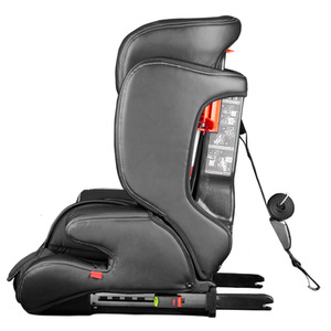 Hudson Group 1-2-3 Child Car Seat - Black by Cozy N Safe