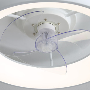 Ceiling Fan Light with Round Acrylic LED Ring - White by Livingandhome