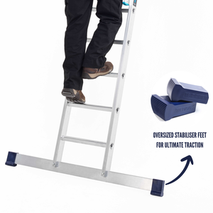 Professional Extension Ladder by TB Davies