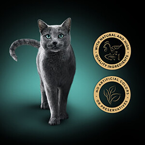 Sheba Filets in Gravy - Chicken with Shrimp and Oceanfish by Sheba