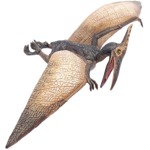 PAPO Dinosaurs Pteranodon Toy Figure - Black by PAPO