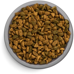 Perfect Fit Complete Senior 7+ Dry Cat Food by Perfect Fit