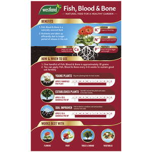 Westland Fish Blood And Bone by Westland