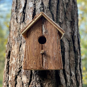 Rustic Barkwood Birdhouse Nest Box - Brown / 2 by Selections