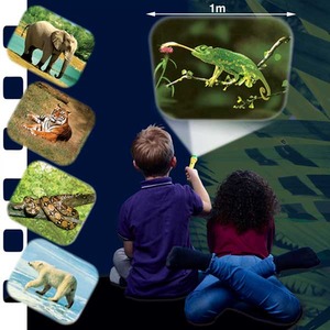 Animal Torch and Projector - Blue by JBL Global