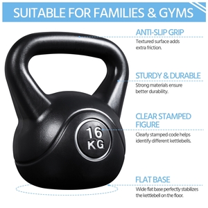 Training Kettlebell for Home Gym Fitness - Black / 16kg by Yaheetech
