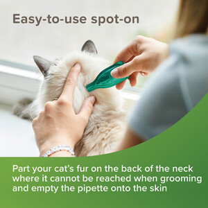 Beaphar Cat Spot On Flea Repellent - 3 by Beaphar