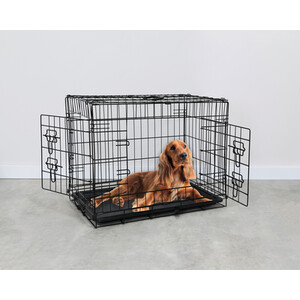 Clever Paws Dog Crate - / Medium by Clever Paws
