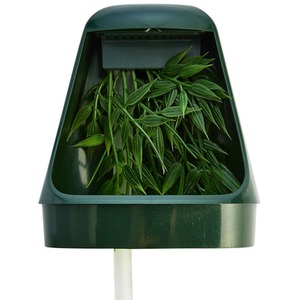 Swell Reptiles Drinking Fountain and Humidifier - Green by Swell Reptiles