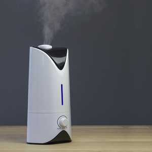 Professional Humidifier - White by Lifemax