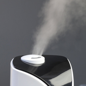 Professional Humidifier - White by Lifemax