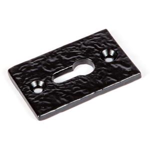 30x50mm Rectangular Escutcheon Plate Black - Black by Hammer and Tongs