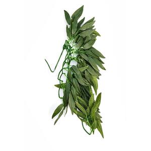 Swell Reptiles Premium Ruscus Plant - Green by Swell Reptiles