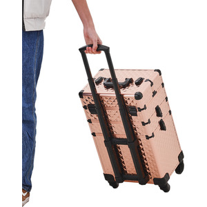 Professional Beauty Case on Wheels by Livingandhome