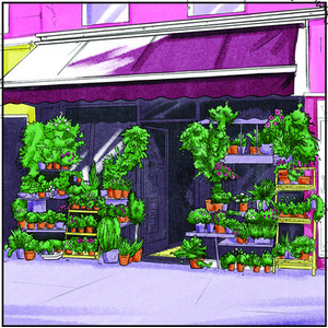 Spectrum Noir Classique 12 Pack - Vibrant Florals by Spectrum Noir