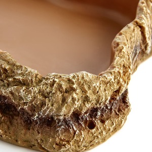 Swell Reptiles Food Dish by Swell Reptiles
