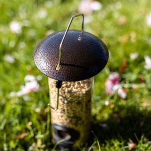 Hanging Seed Bird Feeder - Transparent by Garden Mile