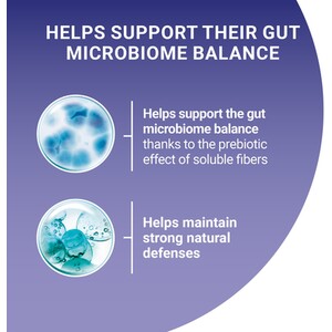 Pack of 40 Purina One Mini Fillets in Gravy by Purina One