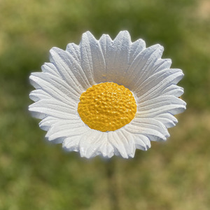 Cast Iron Daisy Bird Feeder - White by Selections