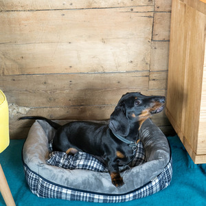 Small Grey Check Pet Bed - Grey by Dreampaws